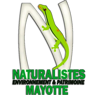 Logo partenaires