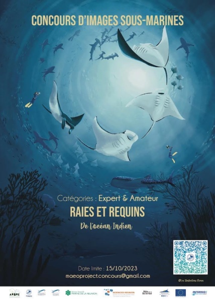 La seconde édition du concours-photo sera de nouveau consacrée aux raies et requins. 