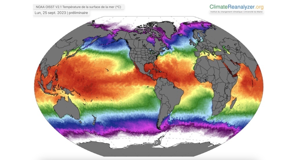 Depuis le mois de mars, tous les océans de la planète sont en surchauffe. Une grave menace pour la biodiversité marine et côtière.