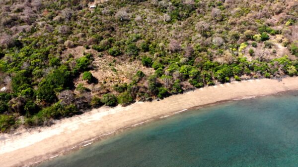 La presqu'île de Sazilé, elle aussi concernée par Mission Nature, enregistre plusieurs centaines de pontes de tortues vertes chaque année. © Samuel Elling